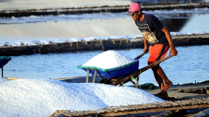 Di Bawah Matahari Madura, Para Petani Garam Sampang Bertaruh Hidup dari Kristal Putih